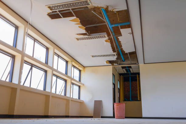 Best Flood restoration services  in Blackstone, VA