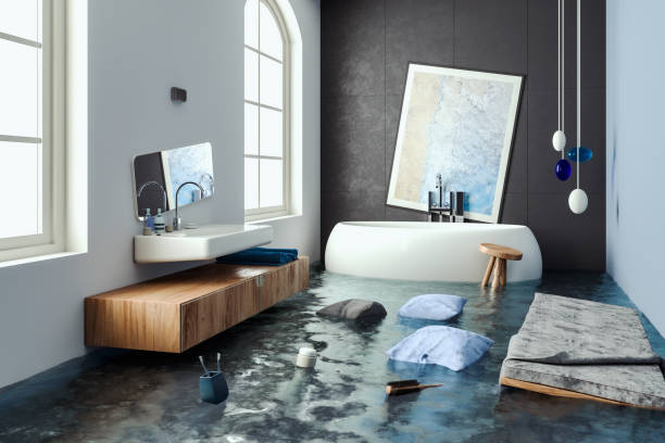Best Mold removal after water damage  in Blackstone, VA