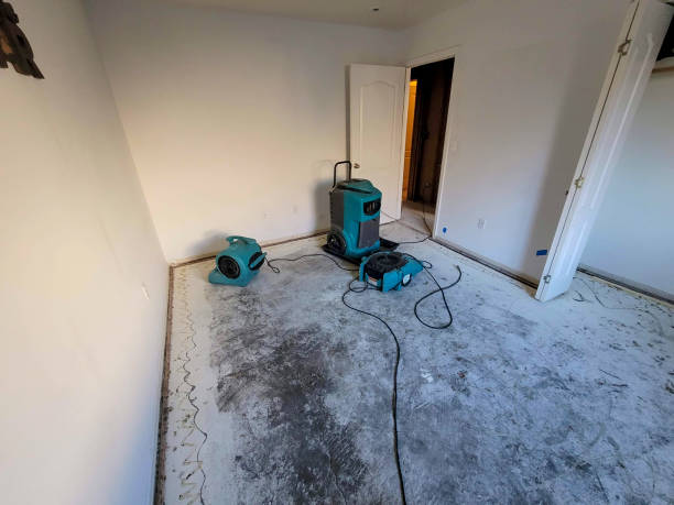 Best Professional water damage repair  in Blackstone, VA