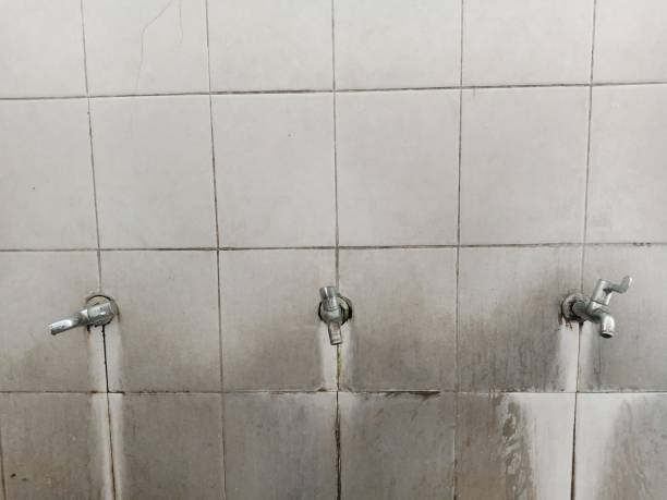 Best Emergency water extraction  in Blackstone, VA