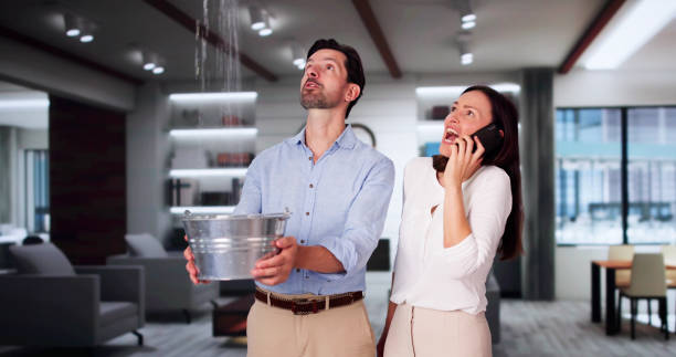 Best Carpet water damage restoration  in Blackstone, VA